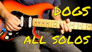 Pink Floyd - Dogs All solos cover