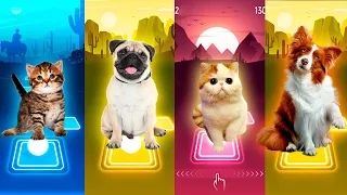 Cute Cats and Dogs in Tiles Hop EDM rush