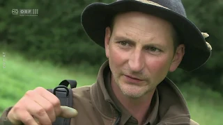 Über uns nur der Himmel - Almauftrieb in Kärnten und der Steiermark