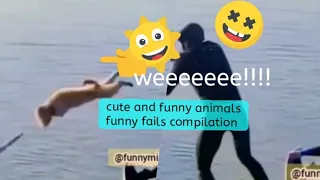 funny videos part 4 |. funny fails compilation| for fun | weeeeeee😂