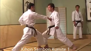 Kihon Sambon Kumite 1, 2 y 3