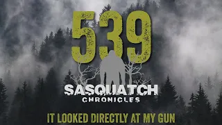 SC EP:539 It Looked Directly At My Gun