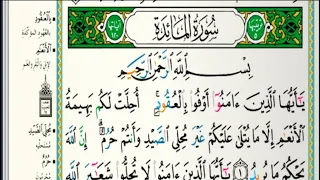 الشيخ ماهر المعيقلي فواتح سورة المائدة(١ إلى٤٠) Maher Al Muaiqly, the openings of Surat Al Ma’idah