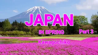 JAPAN IN SPRING 3 (NATURE & SURROUNDINGS PART 5)