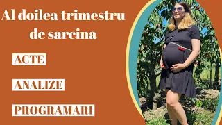 Trimestrul al doilea de sarcina || Analize, acte, programari || Viena