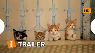 Gatos | Trailer Legendado