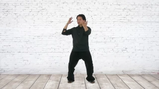 Taiji Exercise Drills: Repulse Monkey