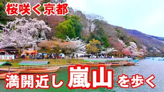 Kyoto Japan Walk/Cherry blossoms in Arashiyama/April 2 2024 桜咲く京都嵐山を歩く