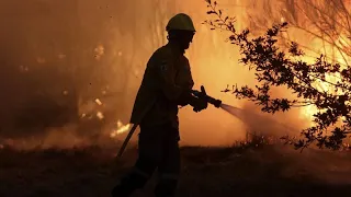 Пожар в национальном парке взят под контроль