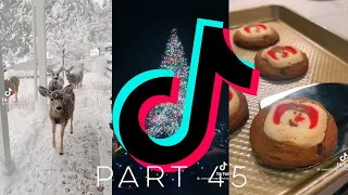 20+ MINUTES OF CHRISTMAS TIKTOK’s | CHRISTMAS COUNTDOWN | 14 days! | No. 45