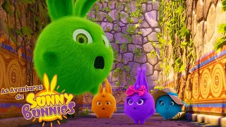 Zona de perigo | As Aventuras de Sunny Bunnies | Desenhos Animados Infantis