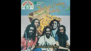 Wailers - How Many Times - RAS LP The Never Ending Wailers 1993