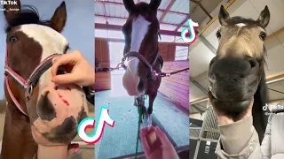 The Best HORSE TikTok Compilation #33