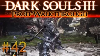 Dark Souls 3 DLC The Ringed City Profi Walkthrough | Irdenspitze