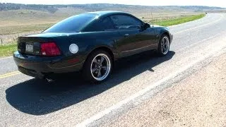 Modern Collectibles Exposed: The 2001 Mustang Bullitt Edition 0-60 MPH Review