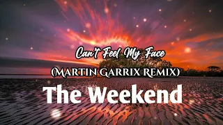 Can’t Feel My Face (Martin Garrix Remix)The Weekend