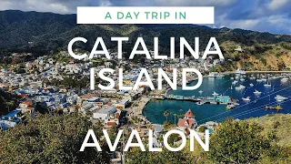 Catalina Island Day Trip: An Avalon Adventure