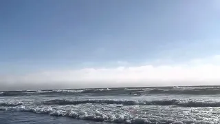 Amazing Surfers Salmon Creek Sonoma County California, September 1st 2022