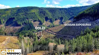 Gold Panning In Creek Below Gossan Exposures!