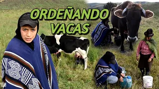 ORDEÑANDO VACAS CON MI MADRE | John Valverde