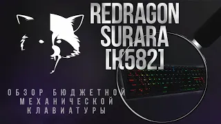REDRAGON SURARA (K582) обзор бюджетной механической клавиатуры