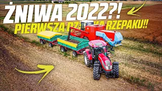 ŻniwnyVlog#1 Pierwsza działka Rzepaku!🔥 Ryk Bizona ! Żniwa 2022!🔥🚜