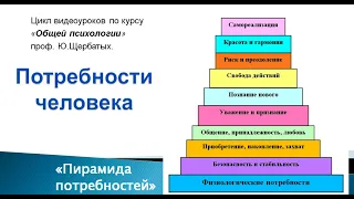 Потребности человека