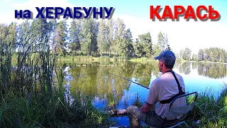 КАК ПОЙМАТЬ ХИТРОГО КАРАСЯ. Рыбалка на тесто ХЕРАБУНА. Последний жаркий день.