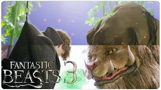 What FANTASTIC BEASTS 3 Really Looks Like Behind The Scenes