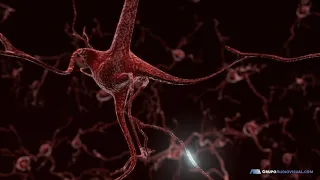 Recreación neuronal en Animación 3D - GrupoAudiovisual.com