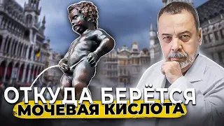 ОТКУДА ЖЕ БЕРЕТСЯ МОЧЕВАЯ КИСЛОТА / подагра / уратные камни / Ковальков / белковая диета / пурины /