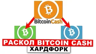 РАСКОЛ BITCOIN CASH. Ты Уже Выбрал Сторону?