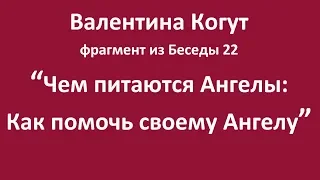 Чем питаются Ангелы. Как помочь своему Ангелу - фрагмент из Беседы 22