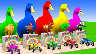 5 Giant Duck, Elephant, Piglet, Chicken, Dog, Dinosaur, Cow, Sheep Transfiguration funny animal 2023