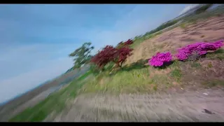 FPV 프리스타일 연습 : 796