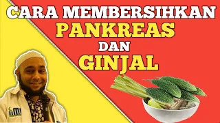 Cara Membersihkan Pankreas & Ginjal - dr Zaidul Akbar