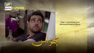 Bharaas Episode 62 - Teaser - ARY Digital Drama