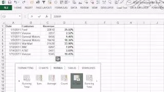 CFO Learning Pro - Excel Edition "Percentage Of Total"