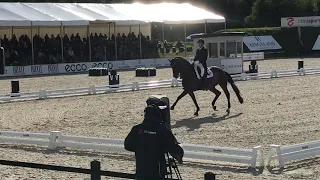 Fiontini and Andreas Helgstrand Grand Prix freestyle