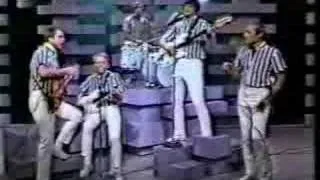 the beach boys barbara ann live