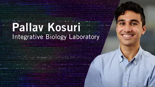 Meet Salk Scientists | Pallav Kosuri