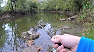 TROUT Fishing with SPINNERS in the STREAM