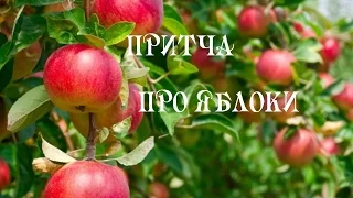 "Кто чем богат, тот тем и делится!" Притча про яблоки