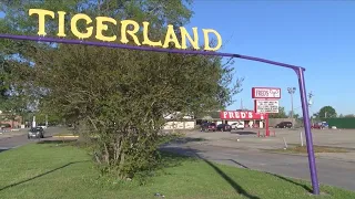 Police increase patrols in Tigerland after security guard knocked out