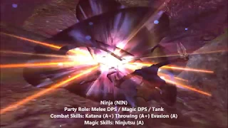 Final Fantasy XI: Ninja Guide