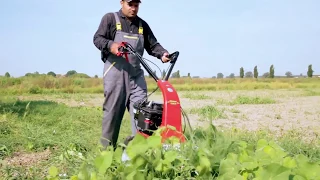 Minieffe Motofalce - Motor mower | EUROSYSTEMS