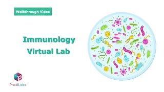 Immunofluorescence assay (IFA) - Immunology Virtual Lab l PraxiLabs