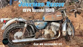 1974 Suzuki T500 left to Die in JUNKYARD - Getting it to Run Again (Our Biggest Challenge so far!)