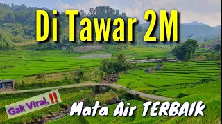 Swiss Nya Garut Ni boss, Ada MATA AIR Ajaib Yg di Tawar AQUA, Semakin Subur di Musim Kemarau