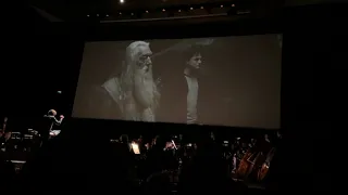 Harry Potter and the Half Blood Prince in concert - Journey To The Cave